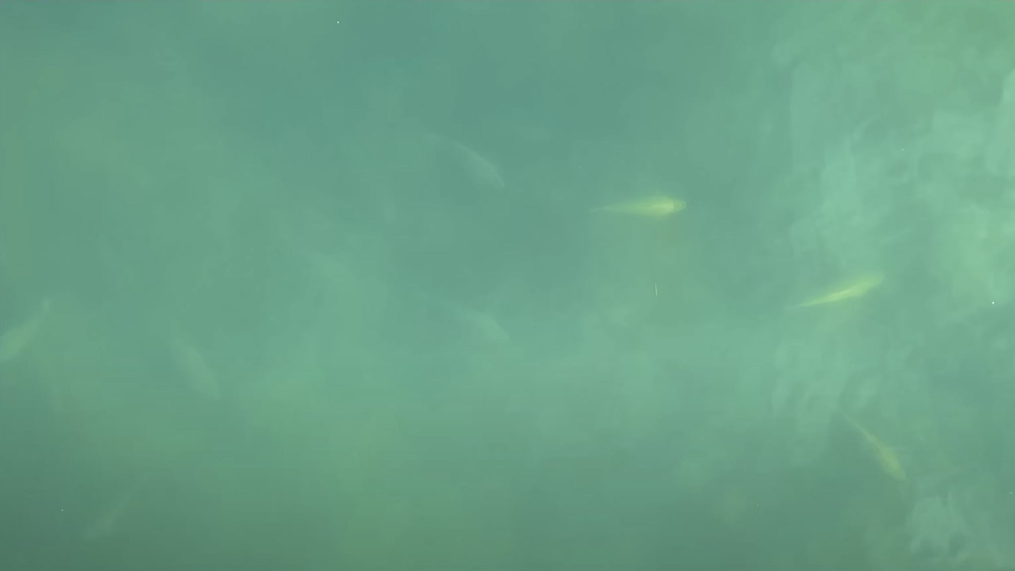 Screenshot Kaltwasser