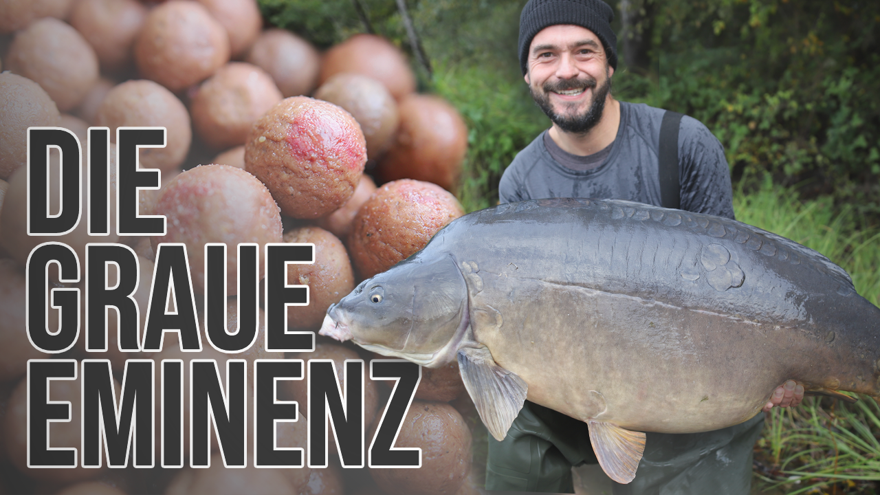 Im Video: Volker Seuß berichtet im Rahmen des Bloodworm Projekts bei Naturebaits von seinem Zielfisch, der grauen Eminenz.