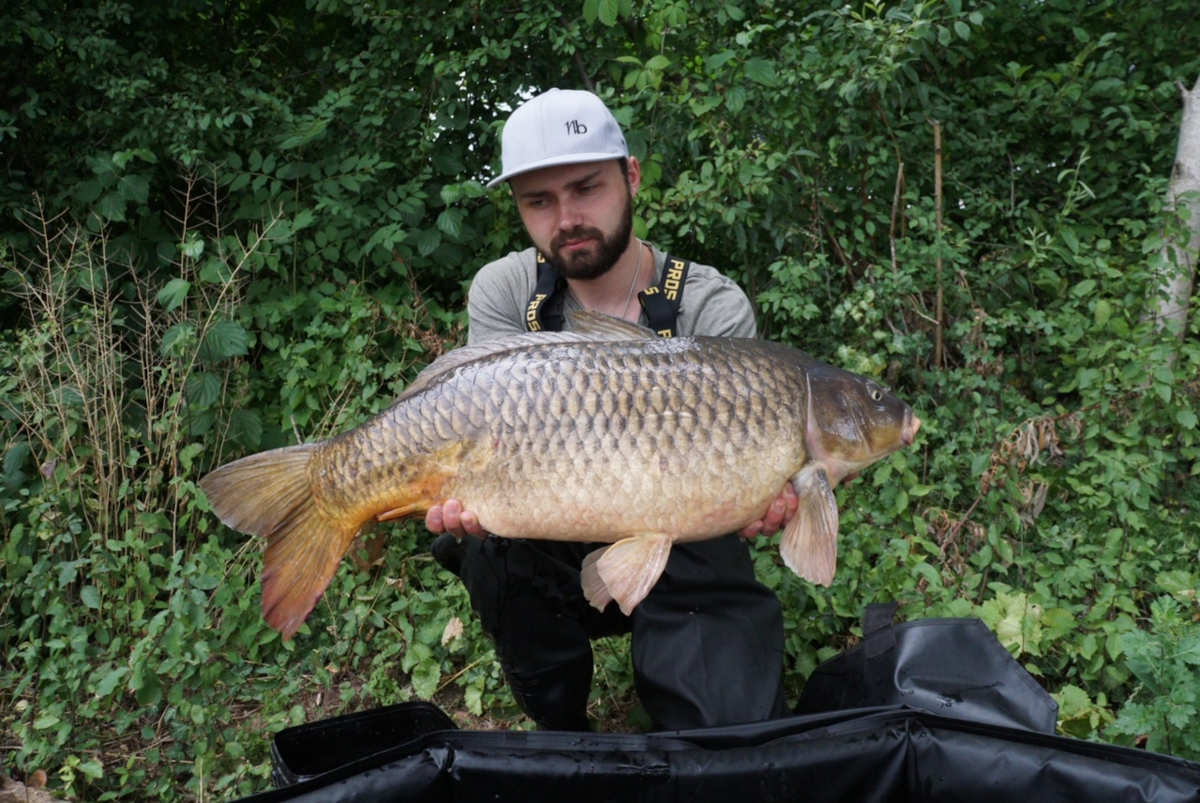 Jakobus mit wildem Schuppi