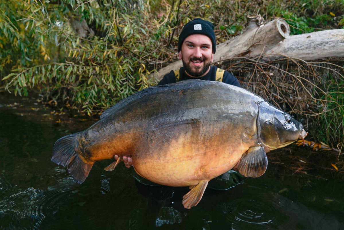 Fisch im Osten Herbst Brandt