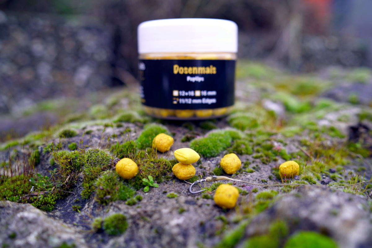 Dosenmais PopUps in Edges Form