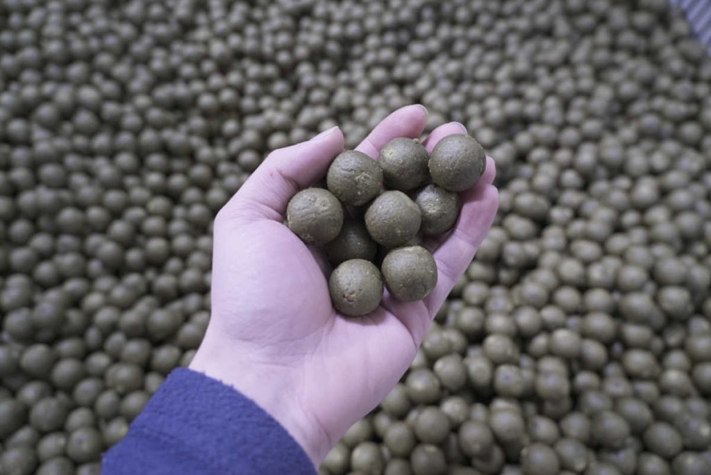 Boilies in Hand