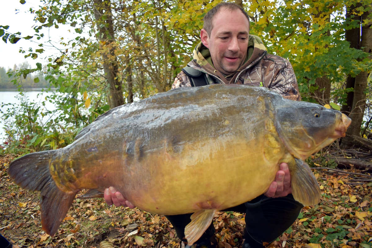 Reichenstein Spiegler Beitragsbild