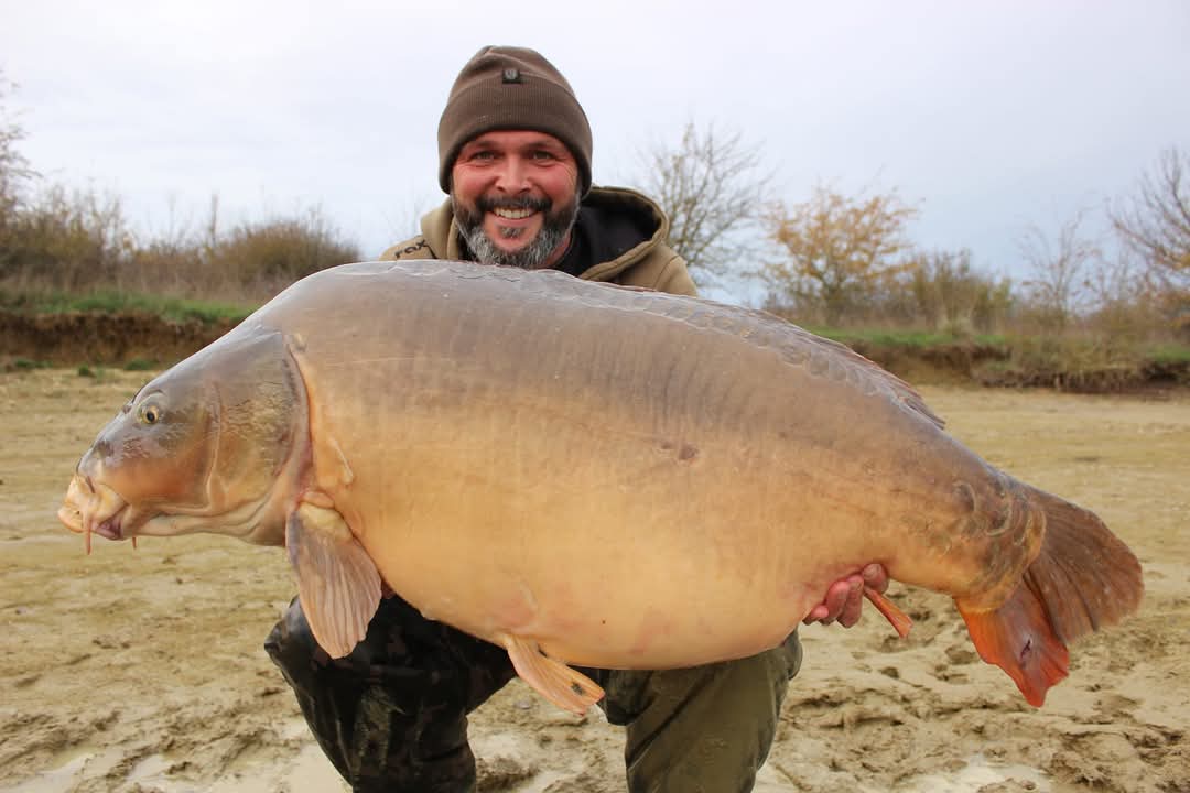 Stausee Fisch 4