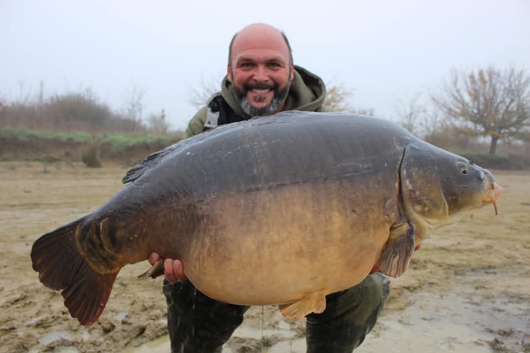 Stausee Fisch 7