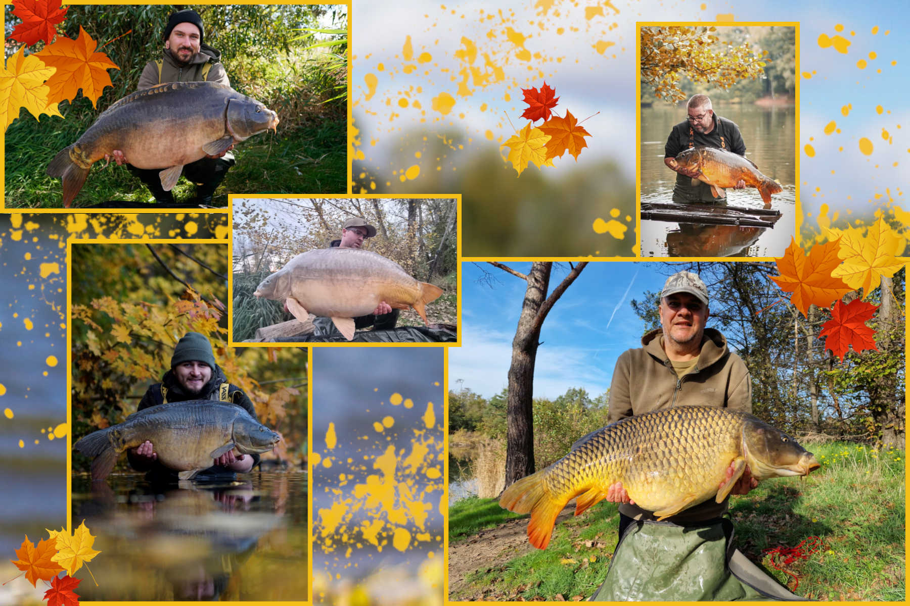 Fangmeldungen Herbst 2022