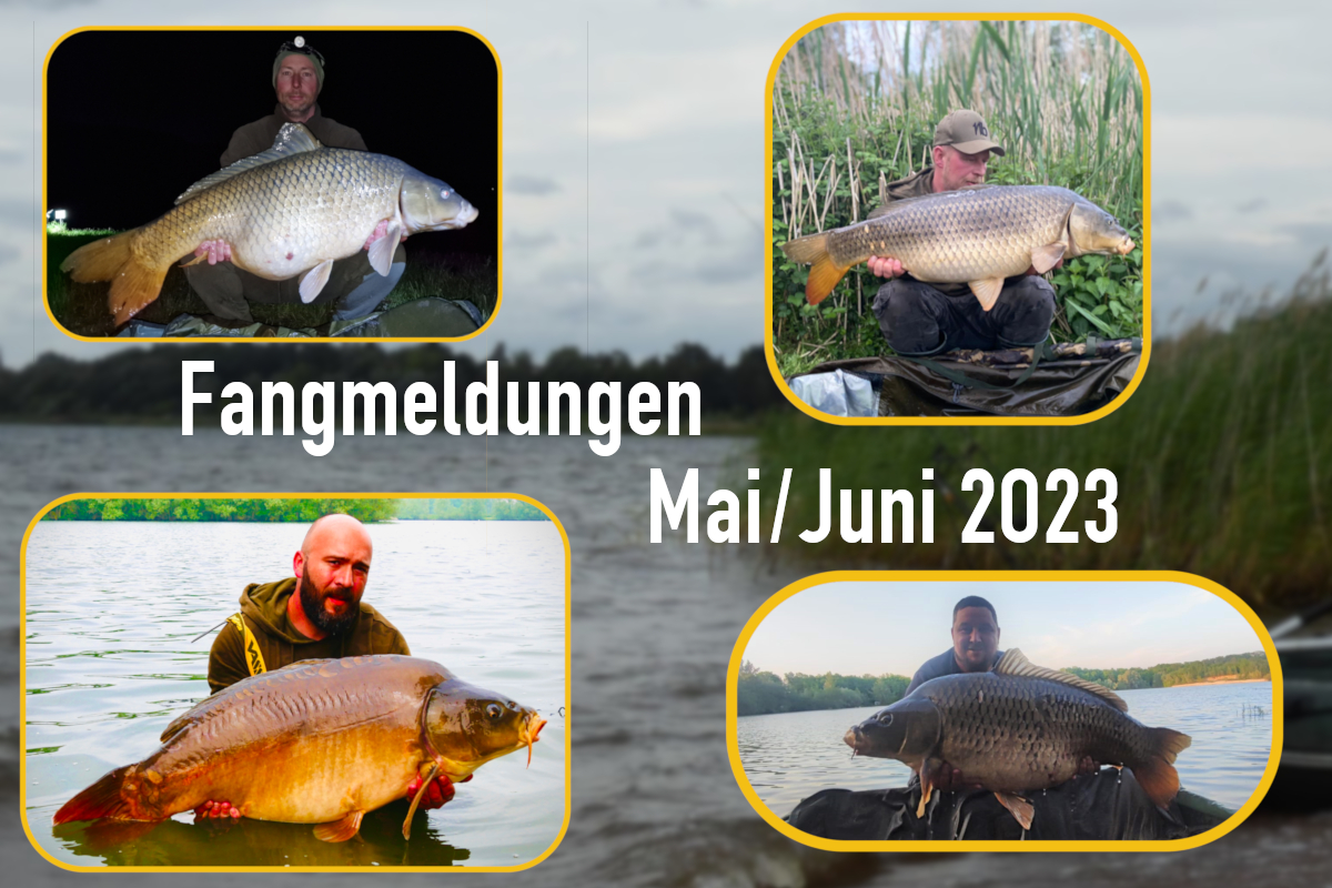 Fangmeldungen Mai Juni 23 mit Tobias