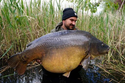 Fisch 2 Der Ganz Dicke