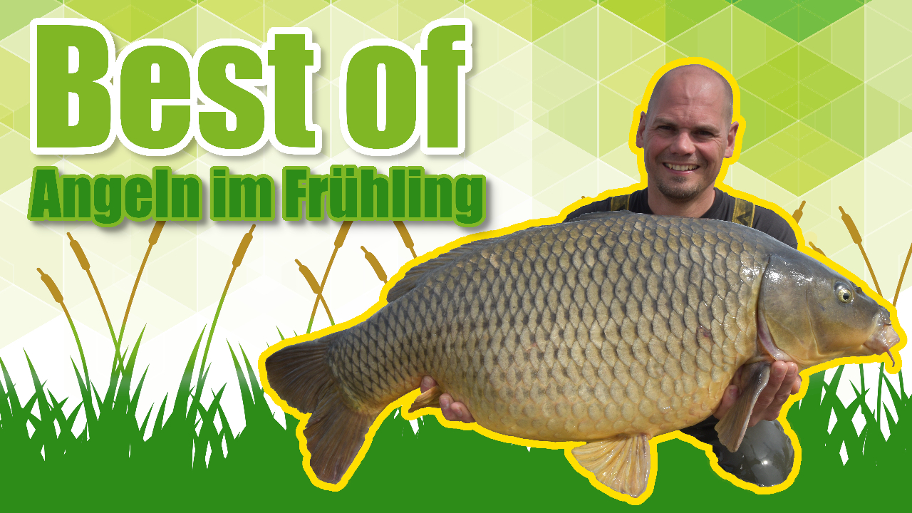 Frühlings Highlight