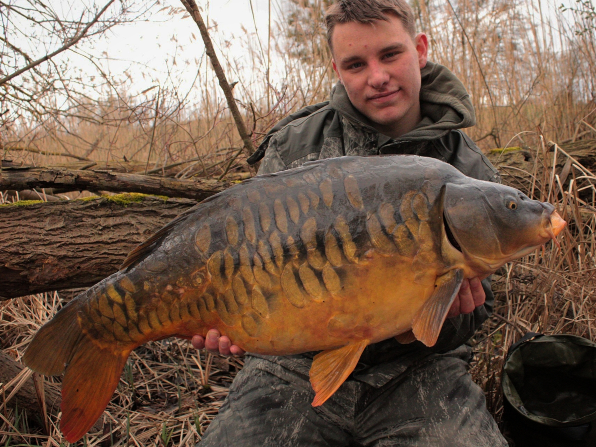 Gridart 20230402 134043114101