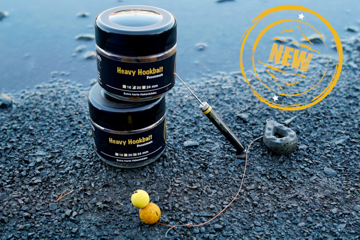 Heavy Dosenmais News