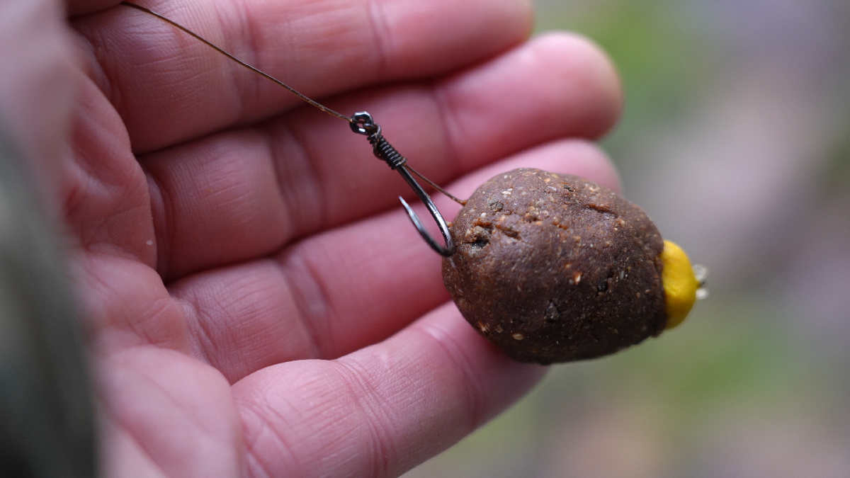 Hookbait