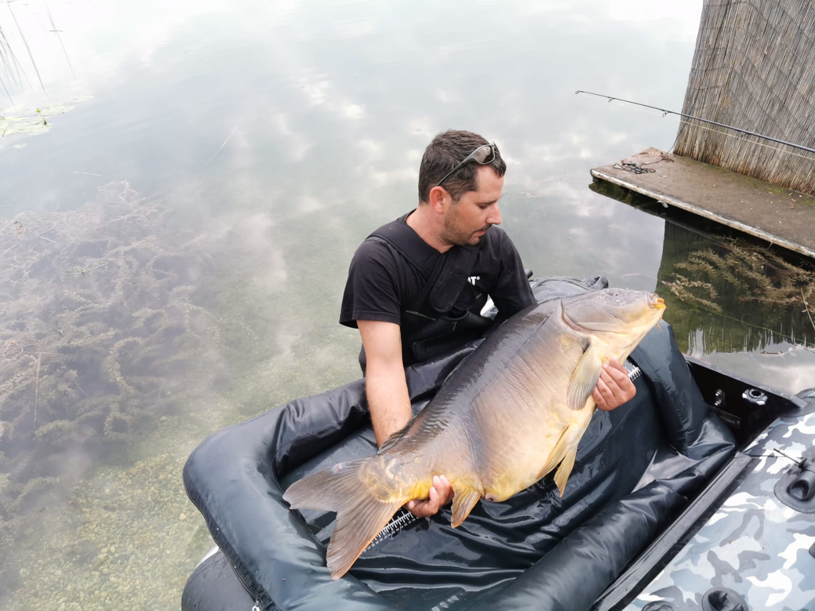 Peter Oswaldi mit langen Spiegelkarpfen, gefangen auf Dickenmittel 2.0 Boilies von Naturebaits in Kärnten Österreich