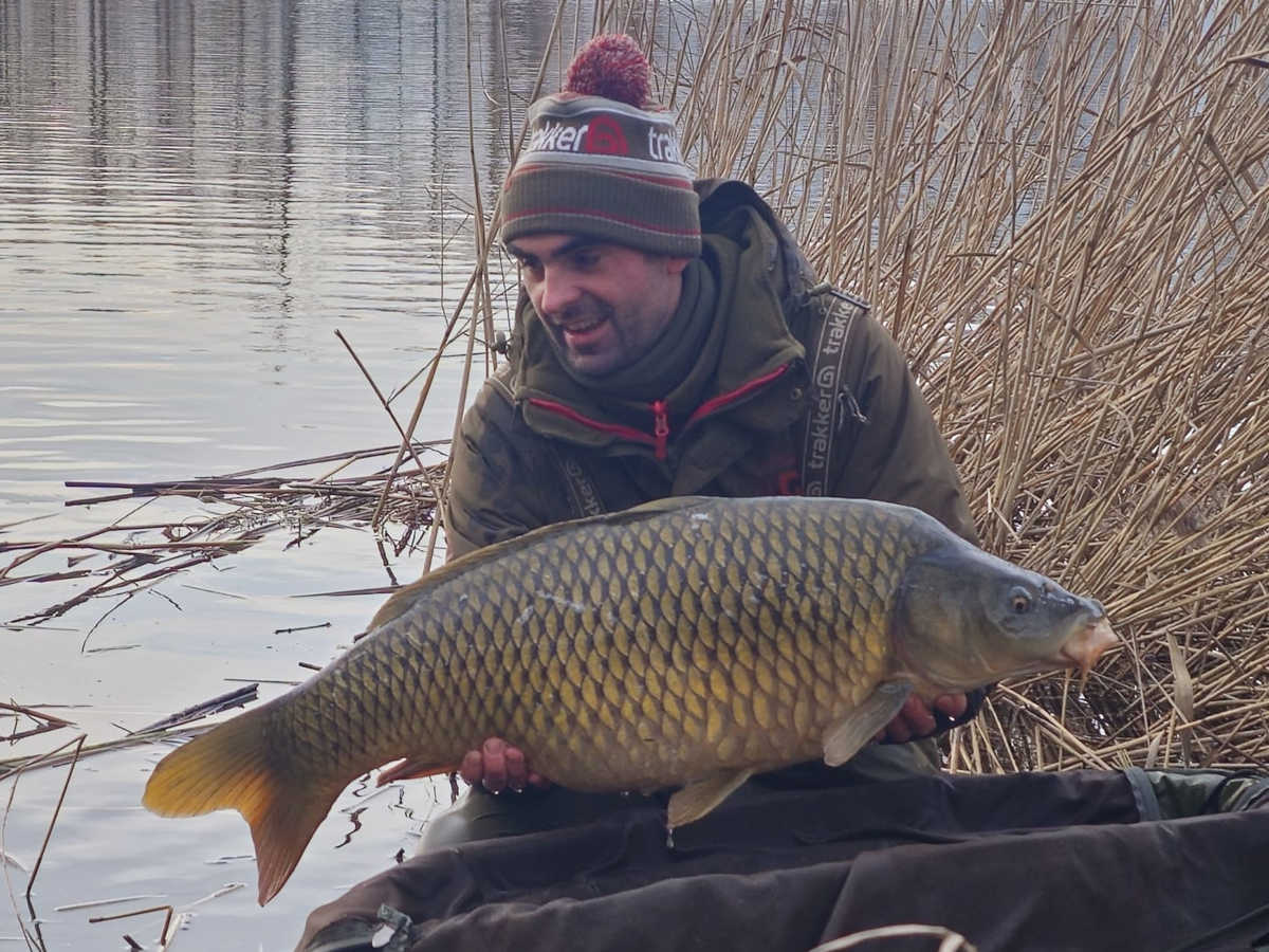 Img 20231229 Wa0031web