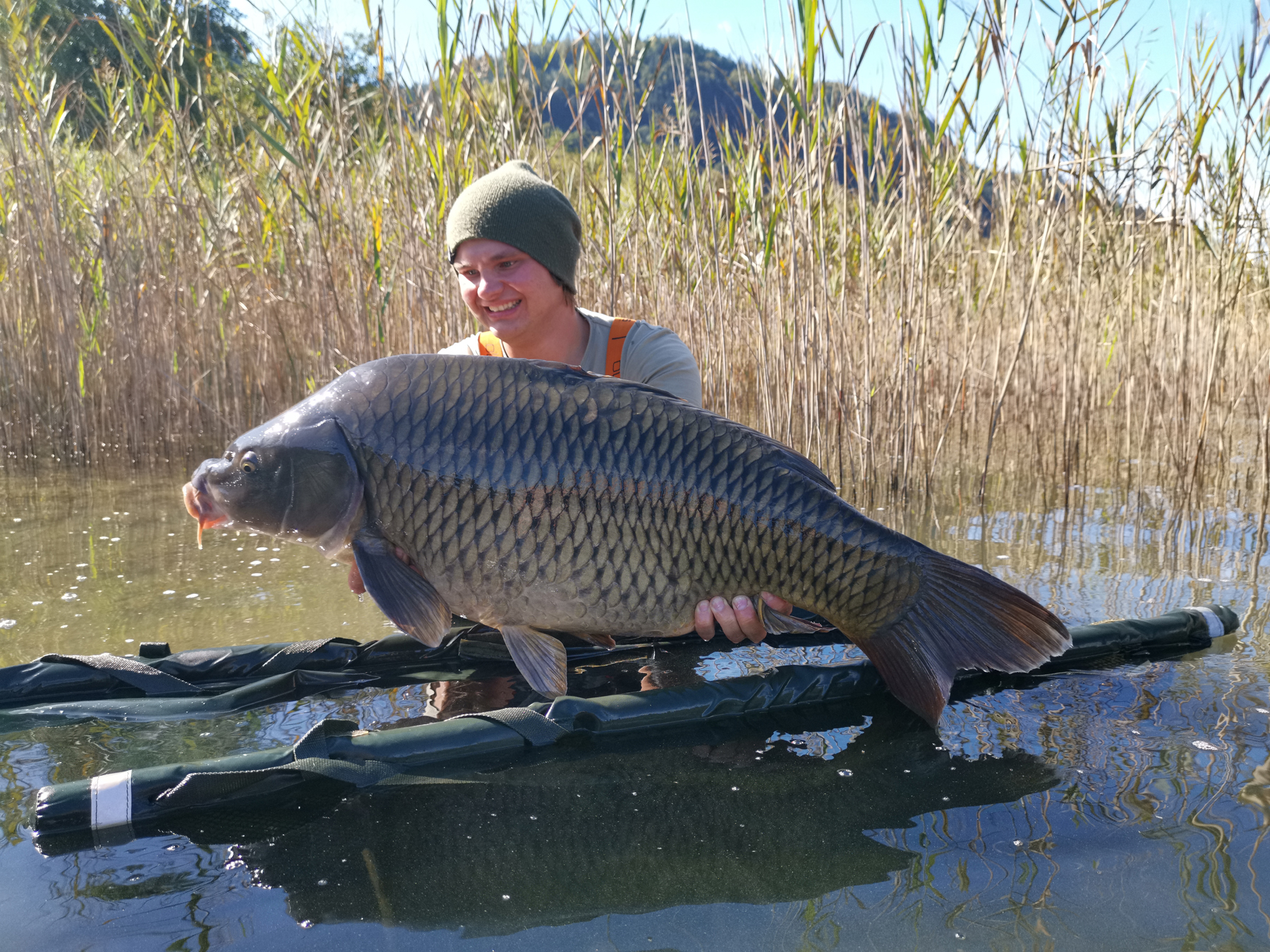 Mario Millauer ist erfolgreich beim Karpfenangeln am Ossiacher See in Österreich mit Dickenmittel 2.0 Boilies von Naturebaits