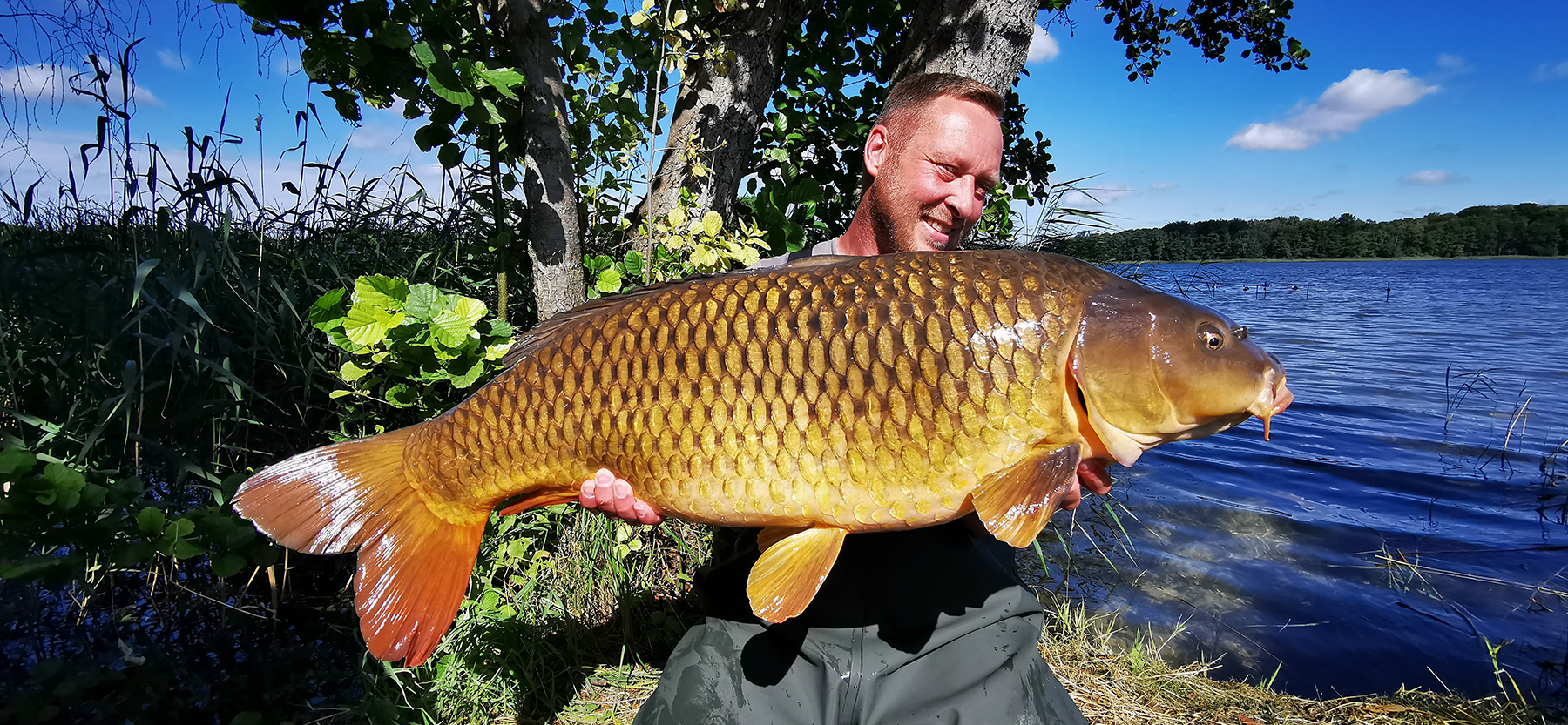 Oliver Büchtemann fängt tolle Karpfen in den Naturseen Mecklenburg-Vorpommerns auf Fliege und Leber Boilies von Naturebaits