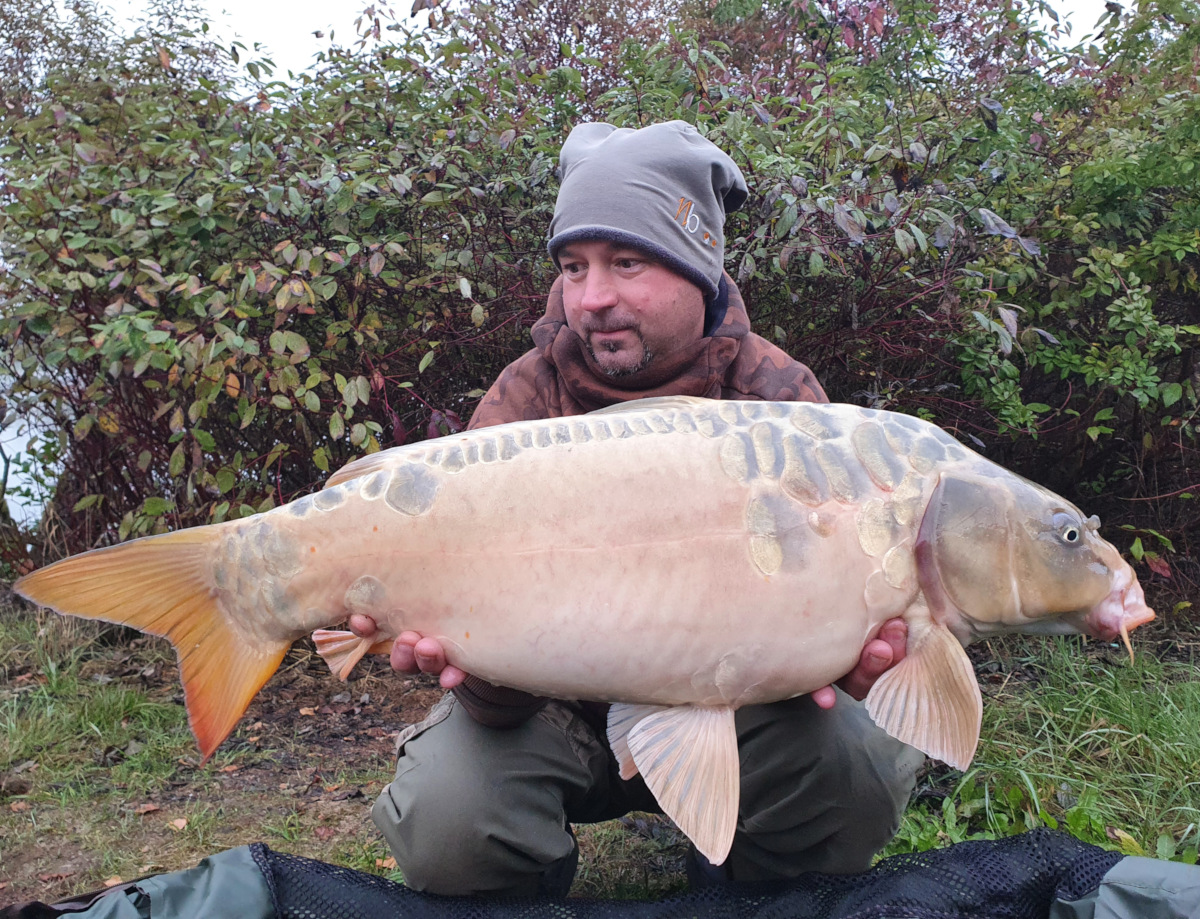 Img 20221112 090032 137