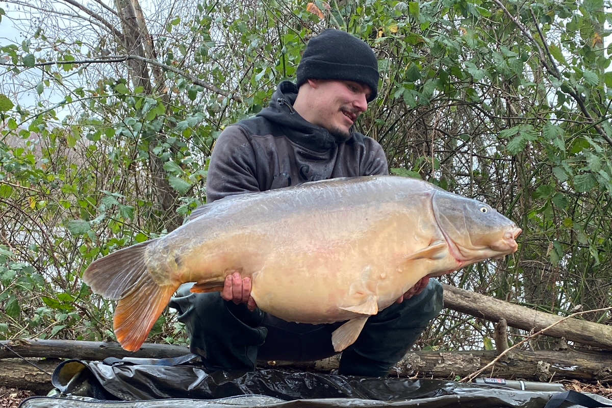 Lorenz mit fettem Spiegler