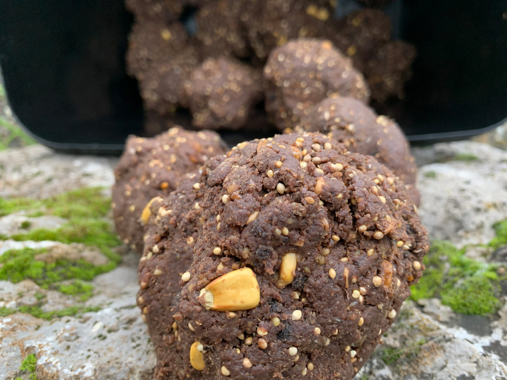 Jan Brauns und Marvin Eckert angeln im Herbst am Baggersee auf Karpfen mit Boilieteig und P-Mix Boilies von Naturebaits