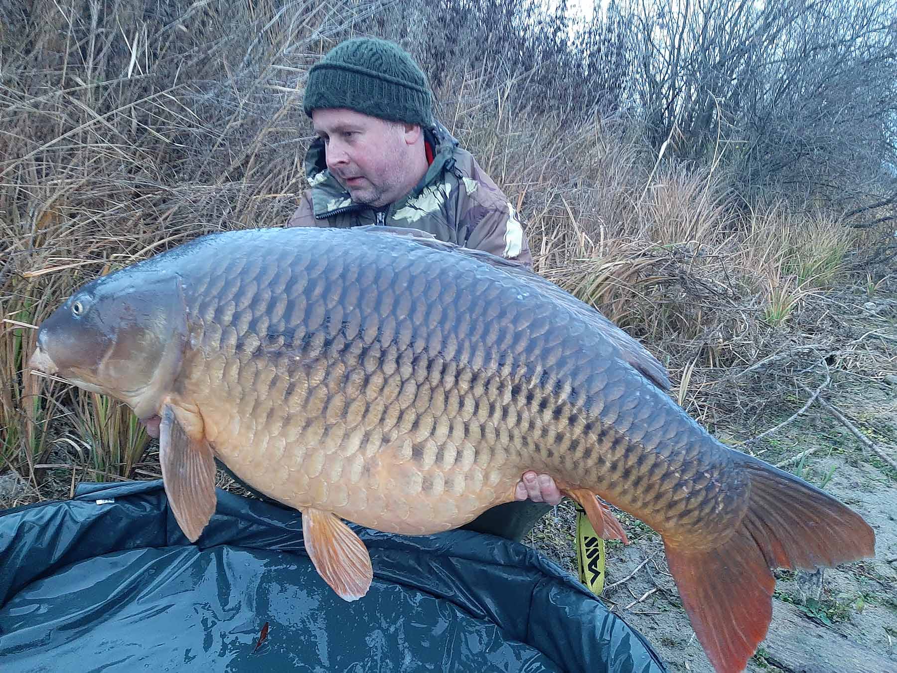 Jan Obentheuer mit 36 Kilo Weihnachtskarpfen - gefangen auf einen Naturebaits Prototypenboilie
