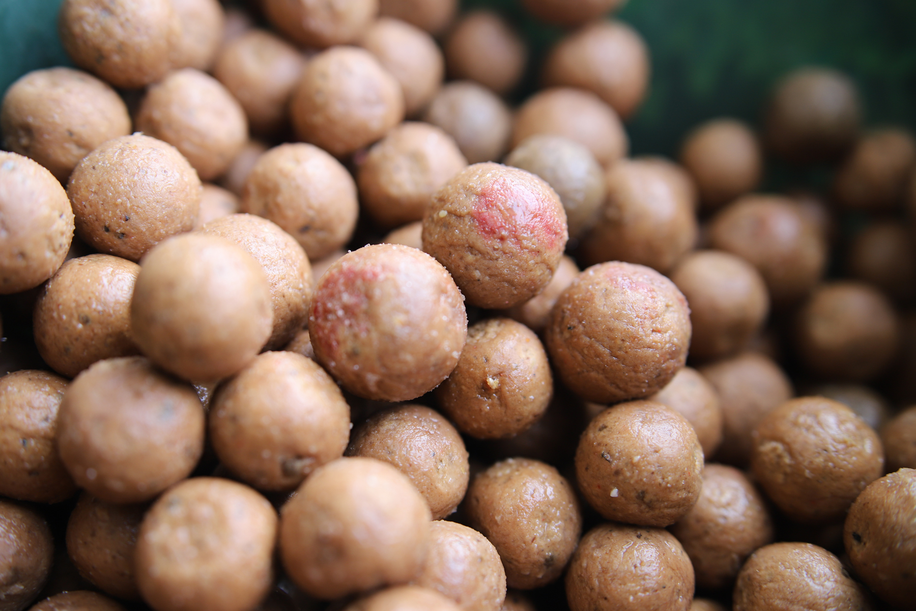 Volker Seuß verschreibt sich im Rahmen des Bloodworm Projekts der Bloodworm Boilie Range von Naturebaits und berichtet im Bloodworm Blog