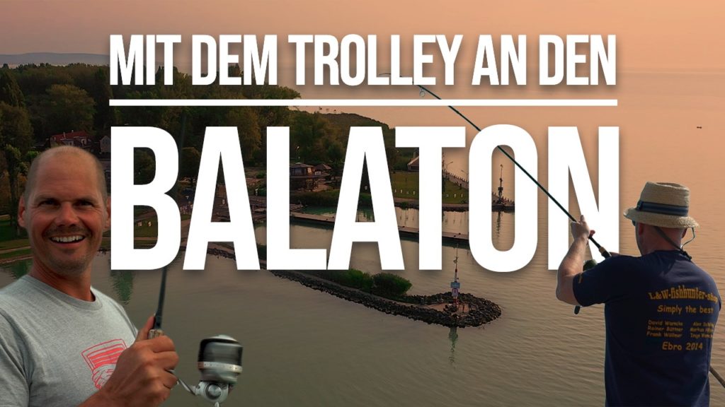 Im Video: Jan Brauns lüftet das Geheimnis der Karpfen vom Balaton