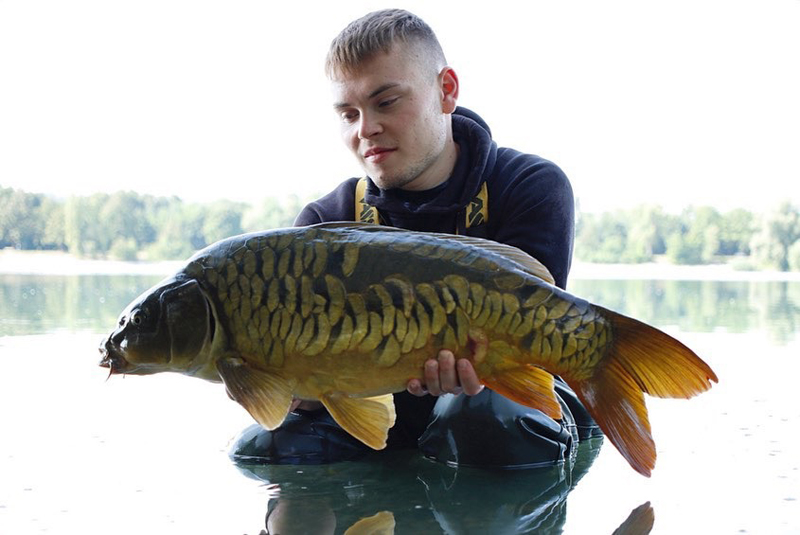 Manuel Knoll mit Dickenmittel von Naturebaits erfolgreich Manuel Knoll mit Dickenmittel von Naturebaits erfolgreich