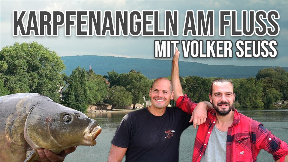 Im Video: Jan Brauns und Volker Seuß angeln am Neckar zwischen Mannheim und Heidelberg auf Karpfen