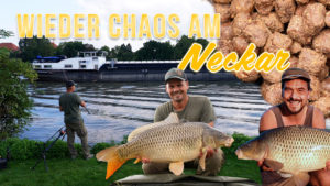 Neckar Teil1 Thumb Verkleinert