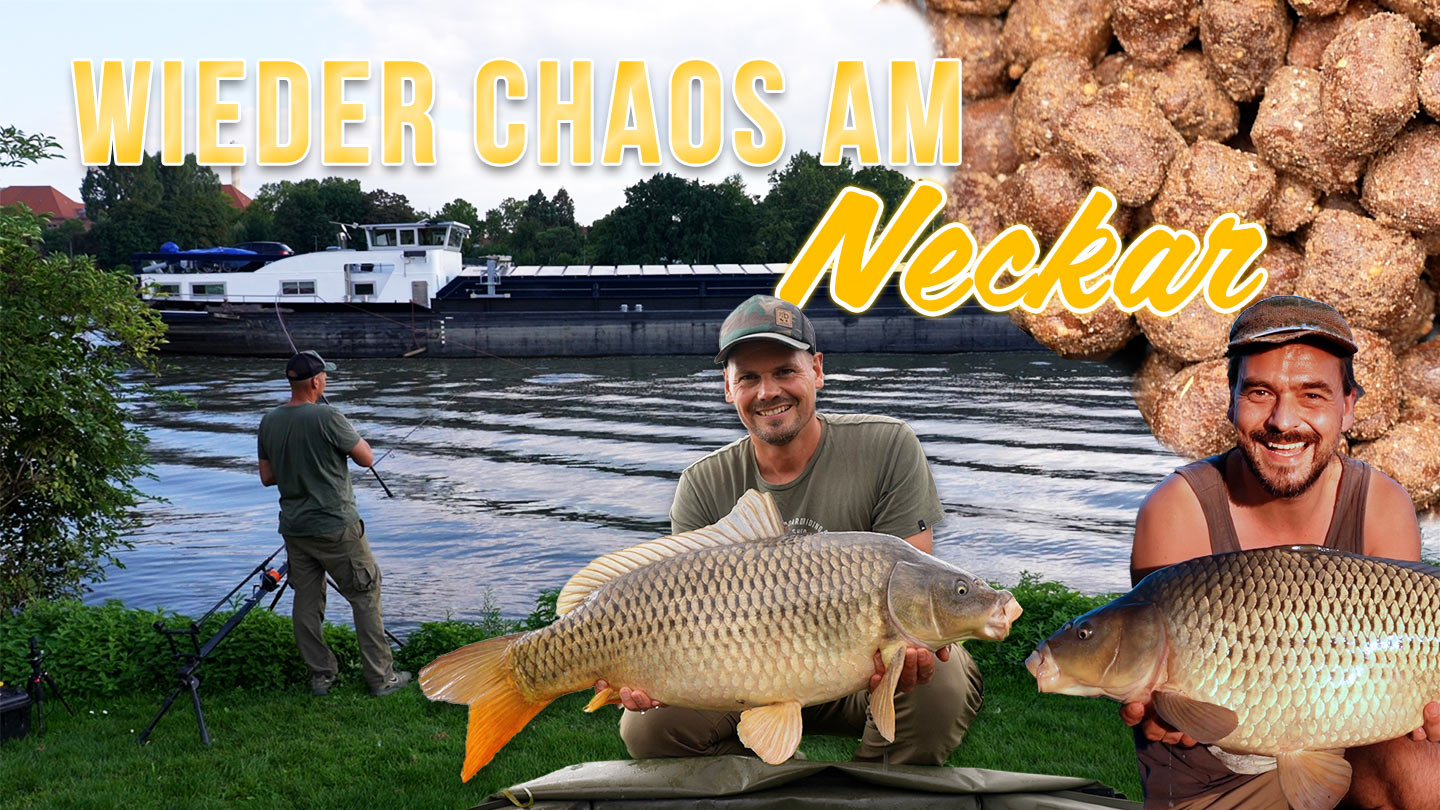 Neckar Teil1 Thumb Verkleinert