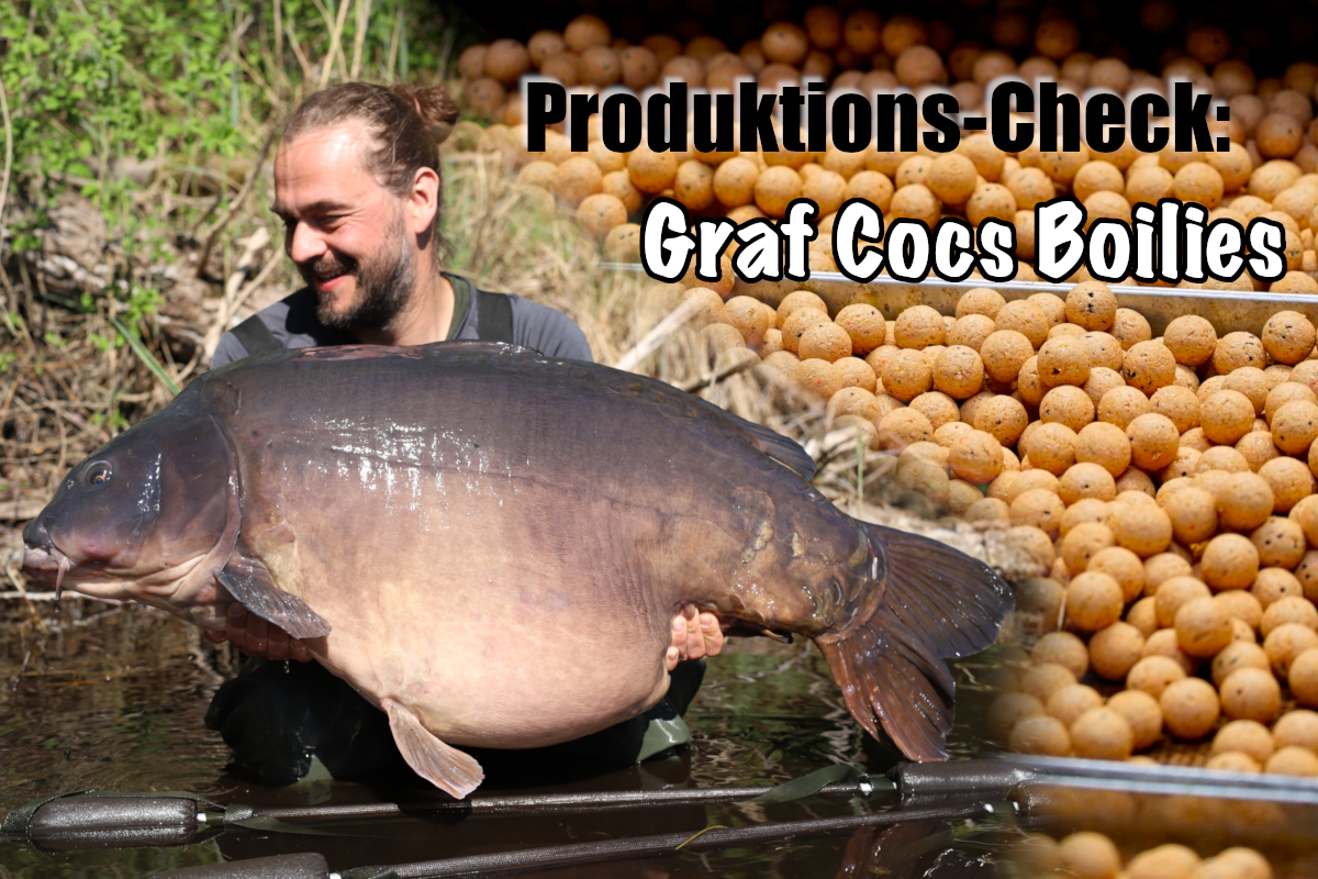 Produktionscheck Graf Cocs header