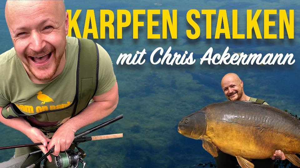 Im neuen Realtalk Bigfish erklärt Chris Ackermann wie er riesige Karpfen auf Sicht fängt.