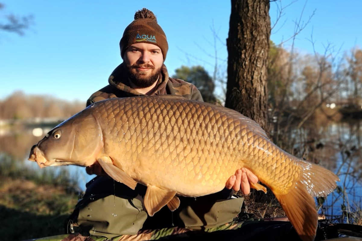 Schuppi von Patrick Andrie