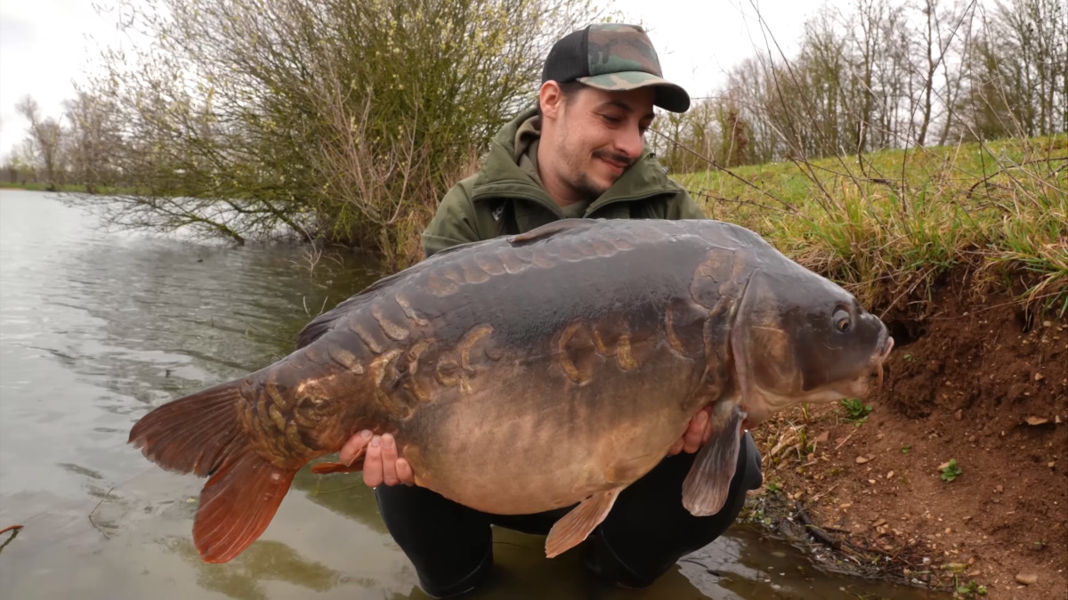 Philip's fetter Beauty