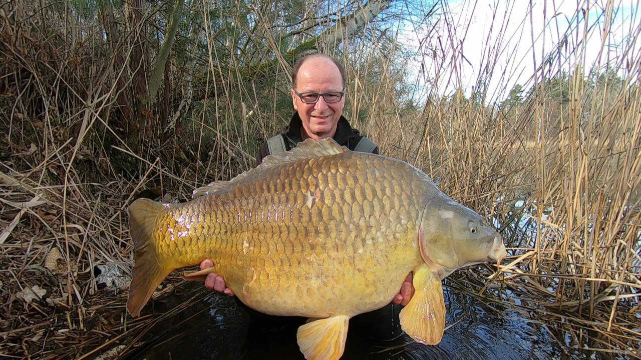 Schuppenkarpfen opener
