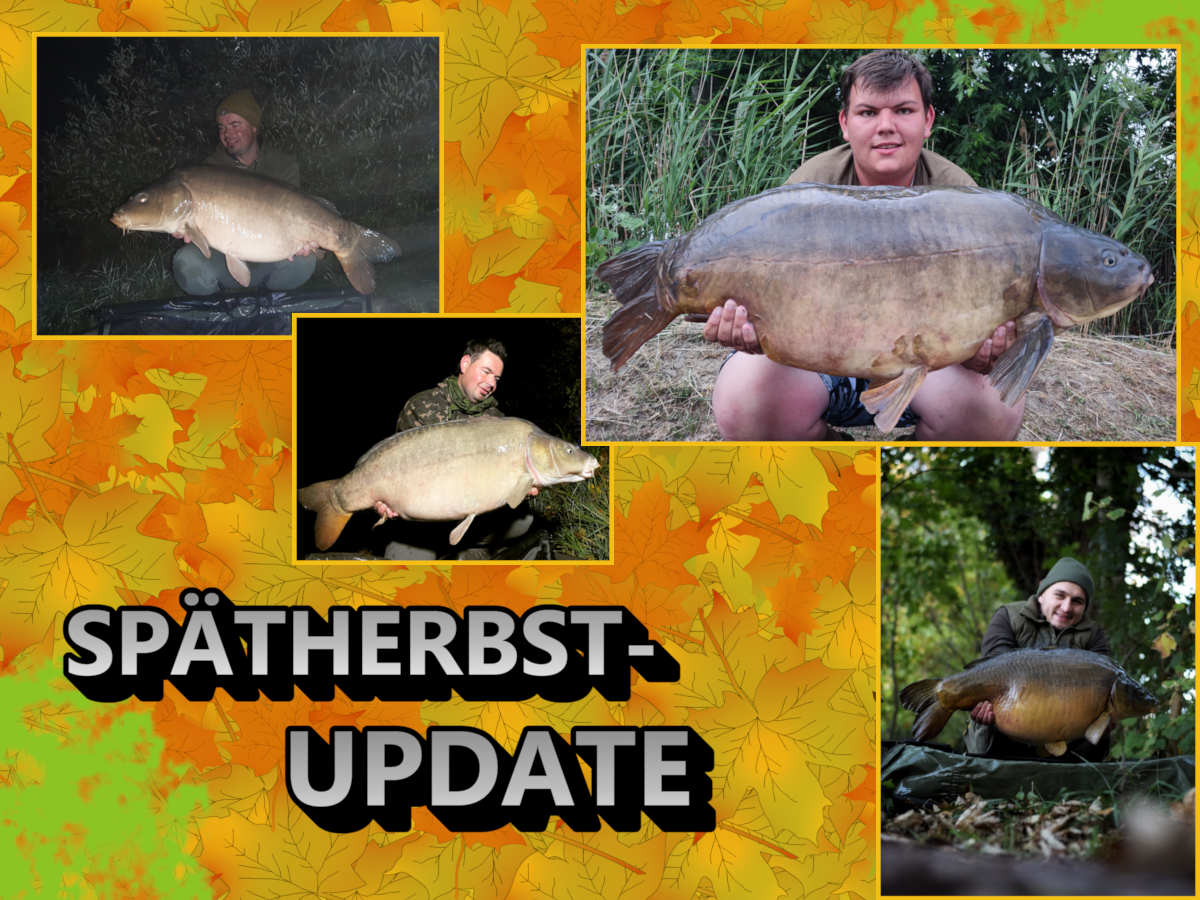 Spätherbst Update Nov. 22