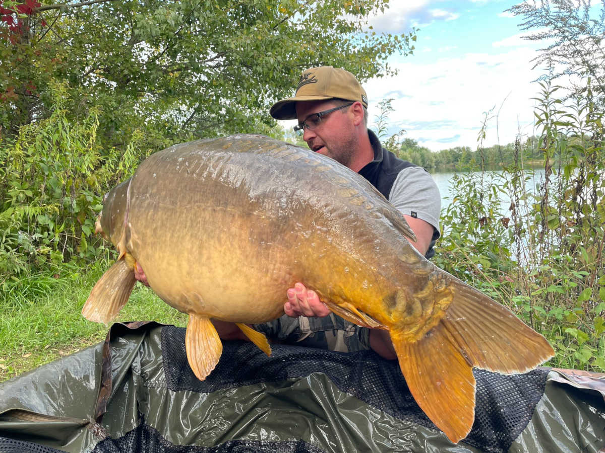 Spiegler K1 Heckansicht