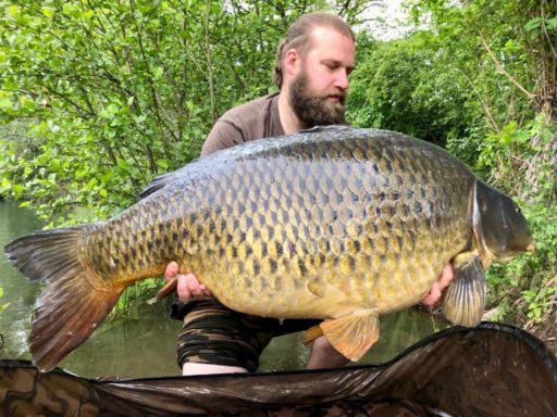 Sven Adam mit 30-Kilo-Plus Schuppenkarpfen, gefangen auf GLM Boilies von Naturebaits