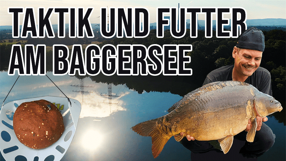 Jan Brauns erklärt im Video Taktik und Futter für das Karpfenangeln am Baggersee