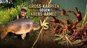 Thumb 1 2