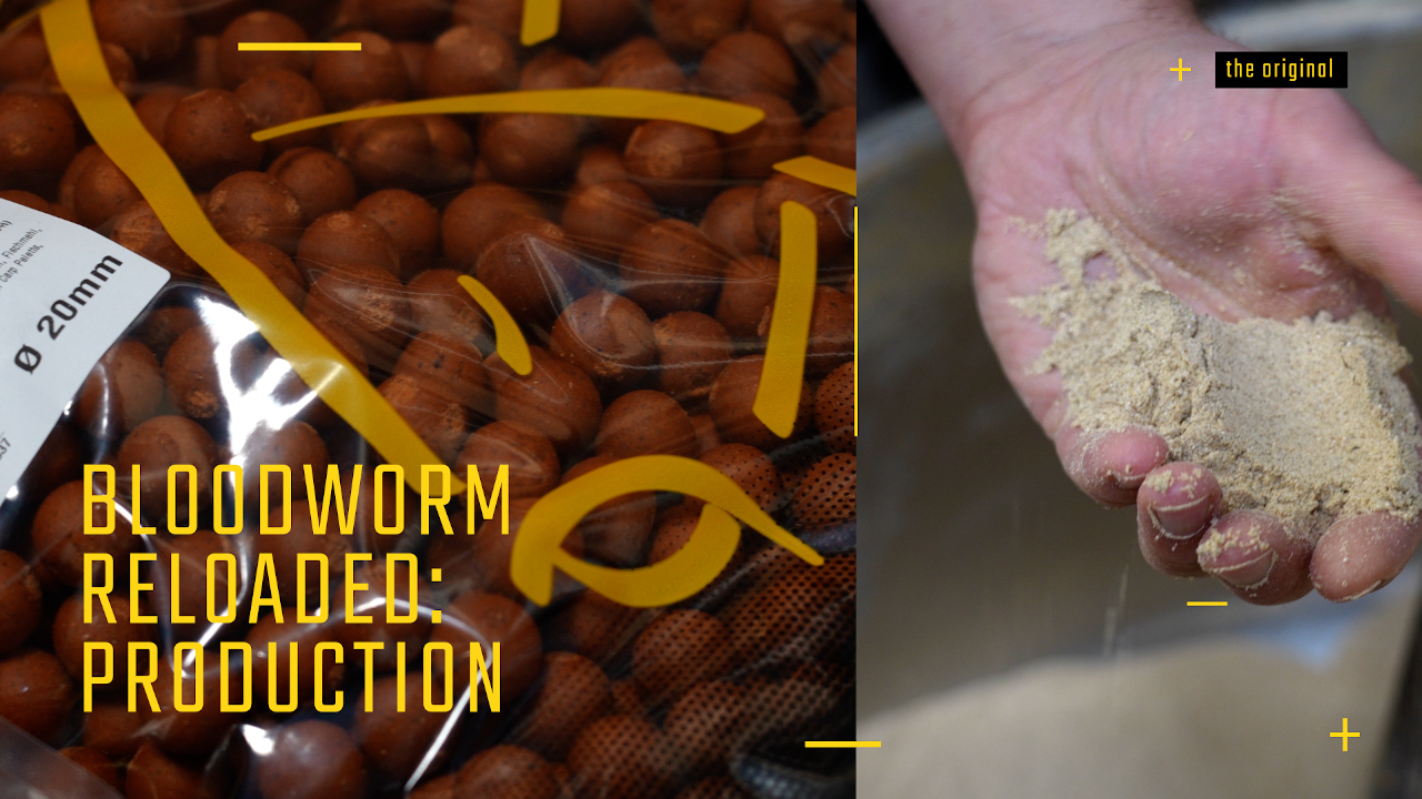 Bloodworm Produktion 