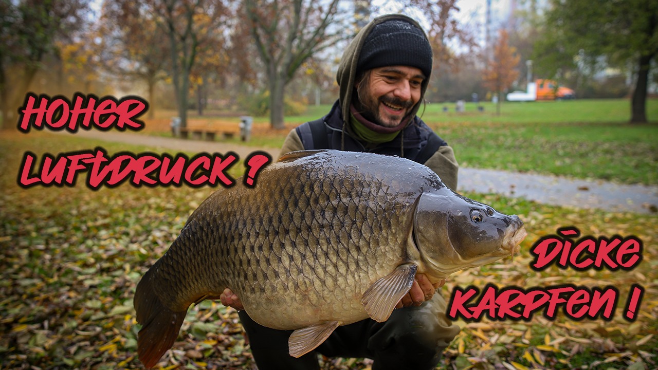 Dicke Karpfen bei hohem Luftdruck - Volker Seuss zeigt wie das geht...