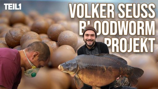 Im, Video: Volker Seuß und Jan Brauns sprechen über das Karpfenangeln mit Bloodworm Boilie und zeigen große Karpfen
