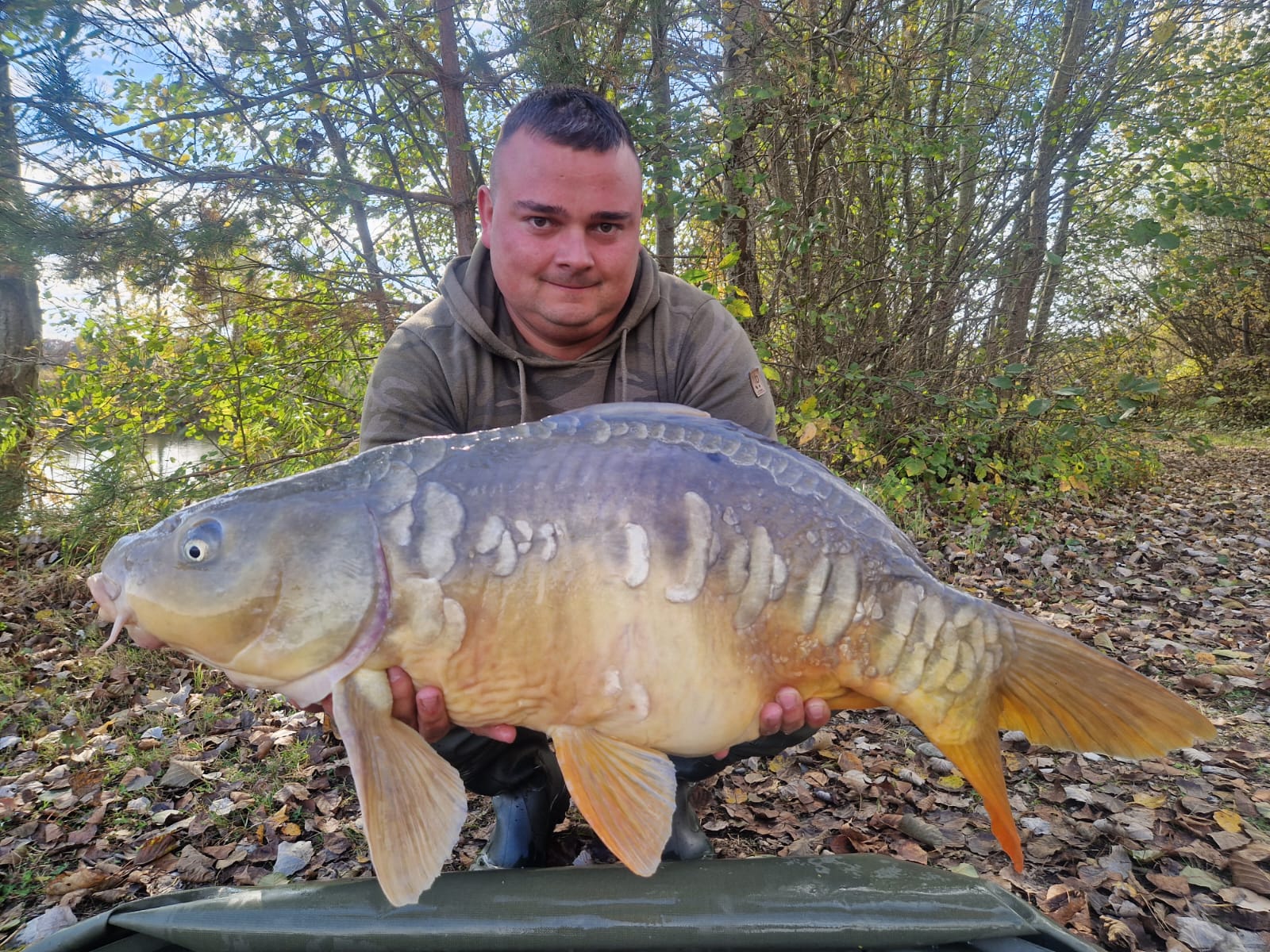 A4cbfa47 4918 4a8e A4ad Be65f323a5b0