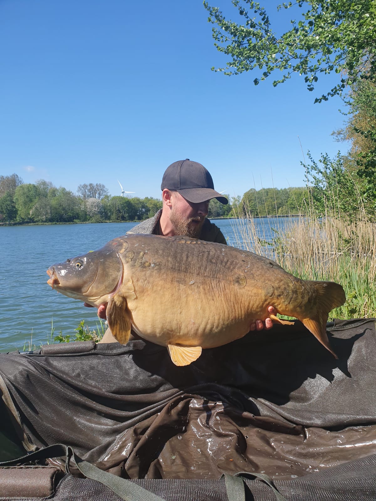 Alex Preen fängt am Kanal und am See viele große Karpfen mit Naturebaits