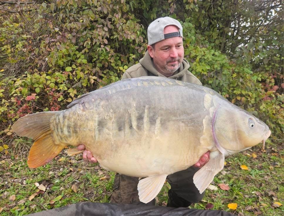 C18f6c5d C5e4 40d3 8e55 440cb6d2569a