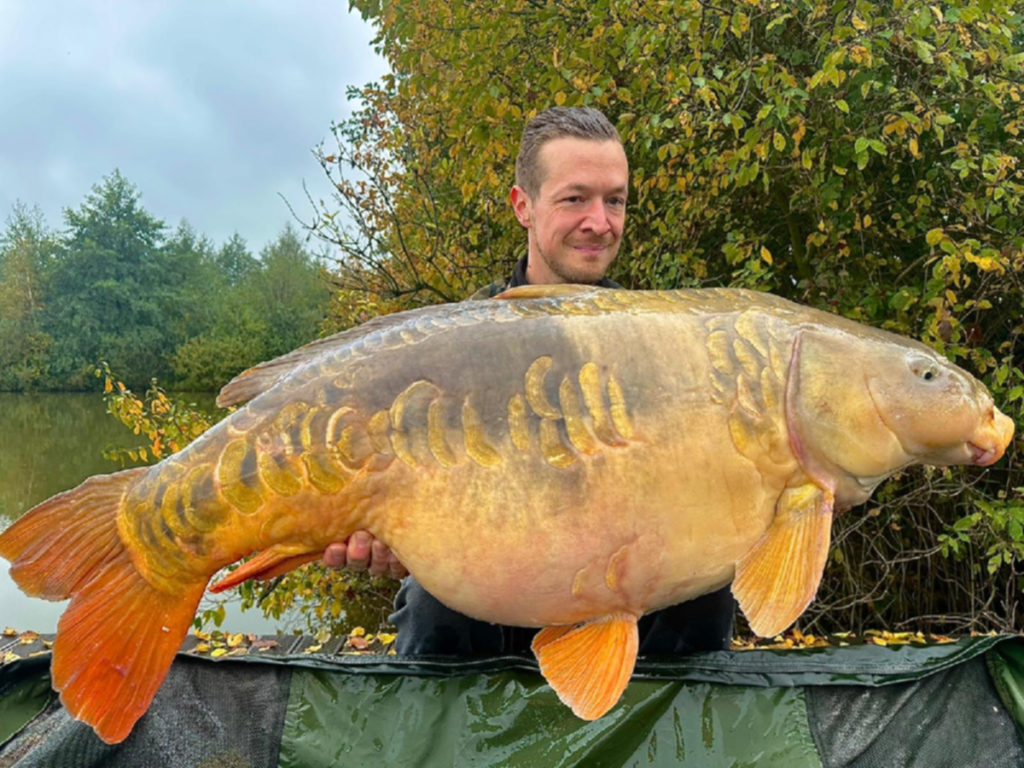 C4c13274 Aa9c 428d 8210 B2da2925f5e4