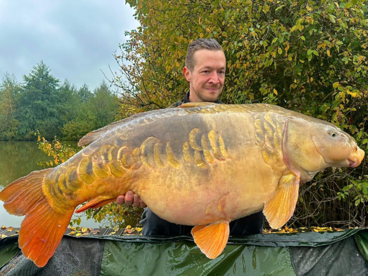 C4c13274 Aa9c 428d 8210 B2da2925f5e4