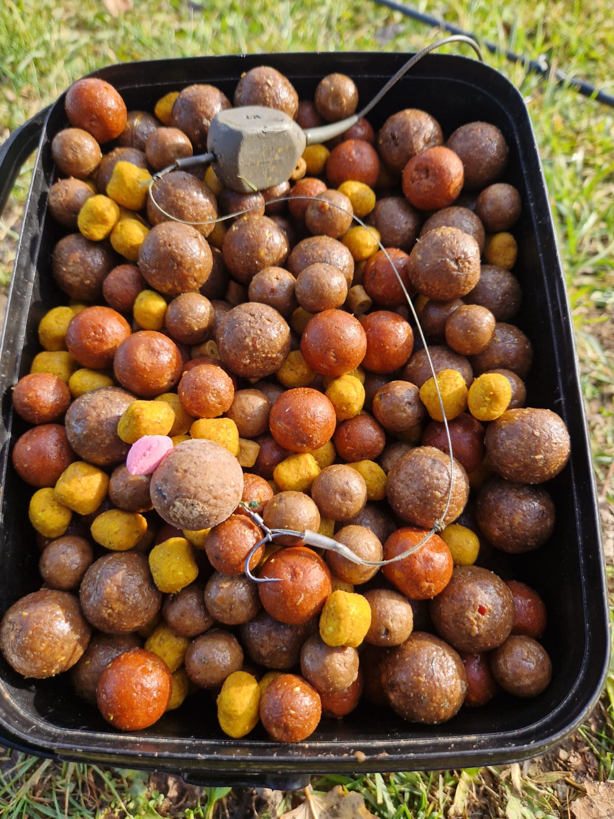 C783ad6c 7ce4 4ab9 9e63 De8fe7ded299