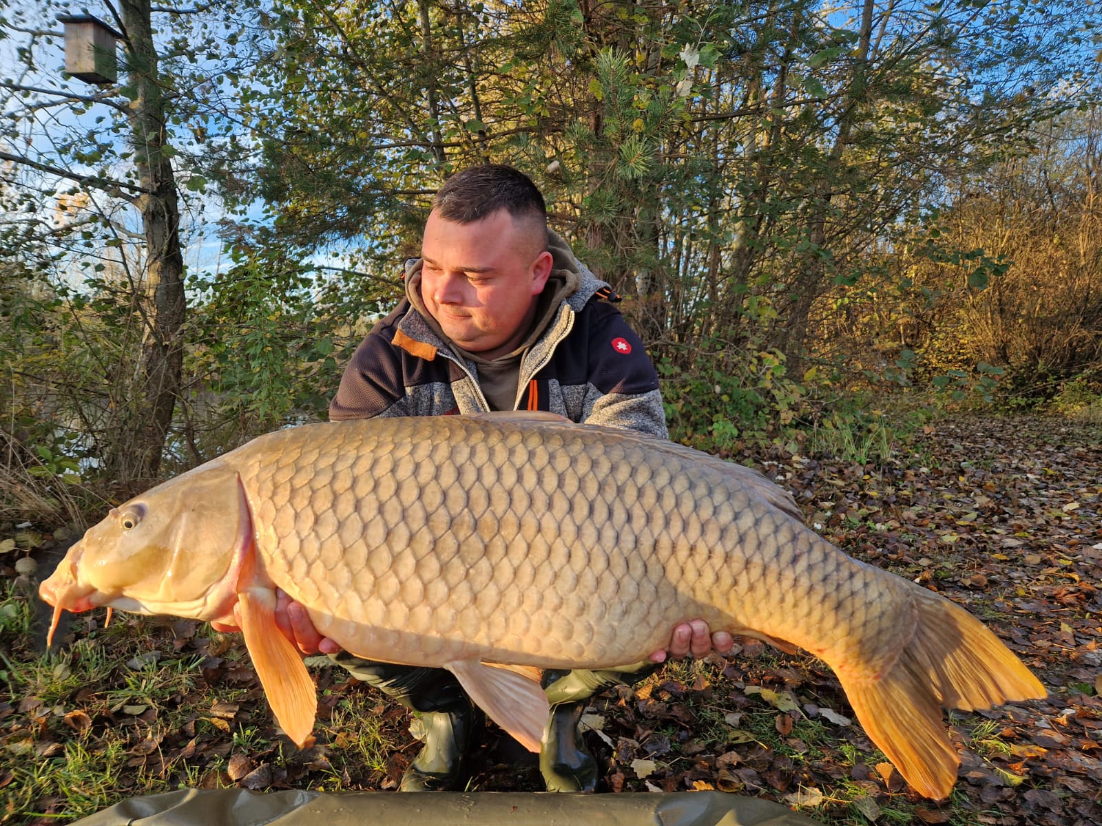 C86df078 7d2f 4c94 863d 0258184cd769